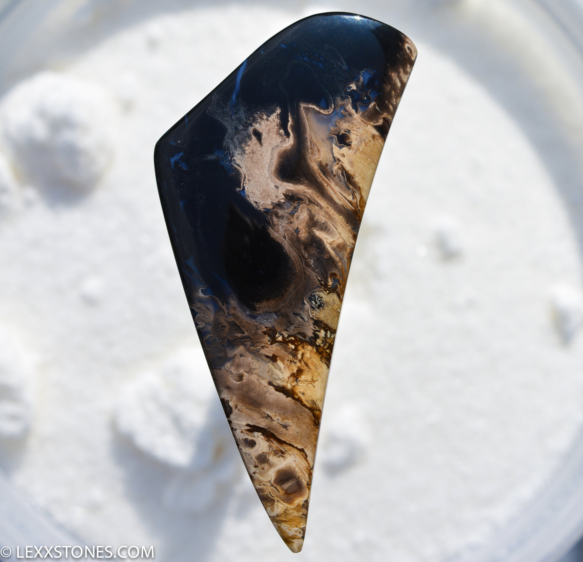 バタグルミ化石⑦ Indonesian Palm Root Lexx Stones | Lexx Stones